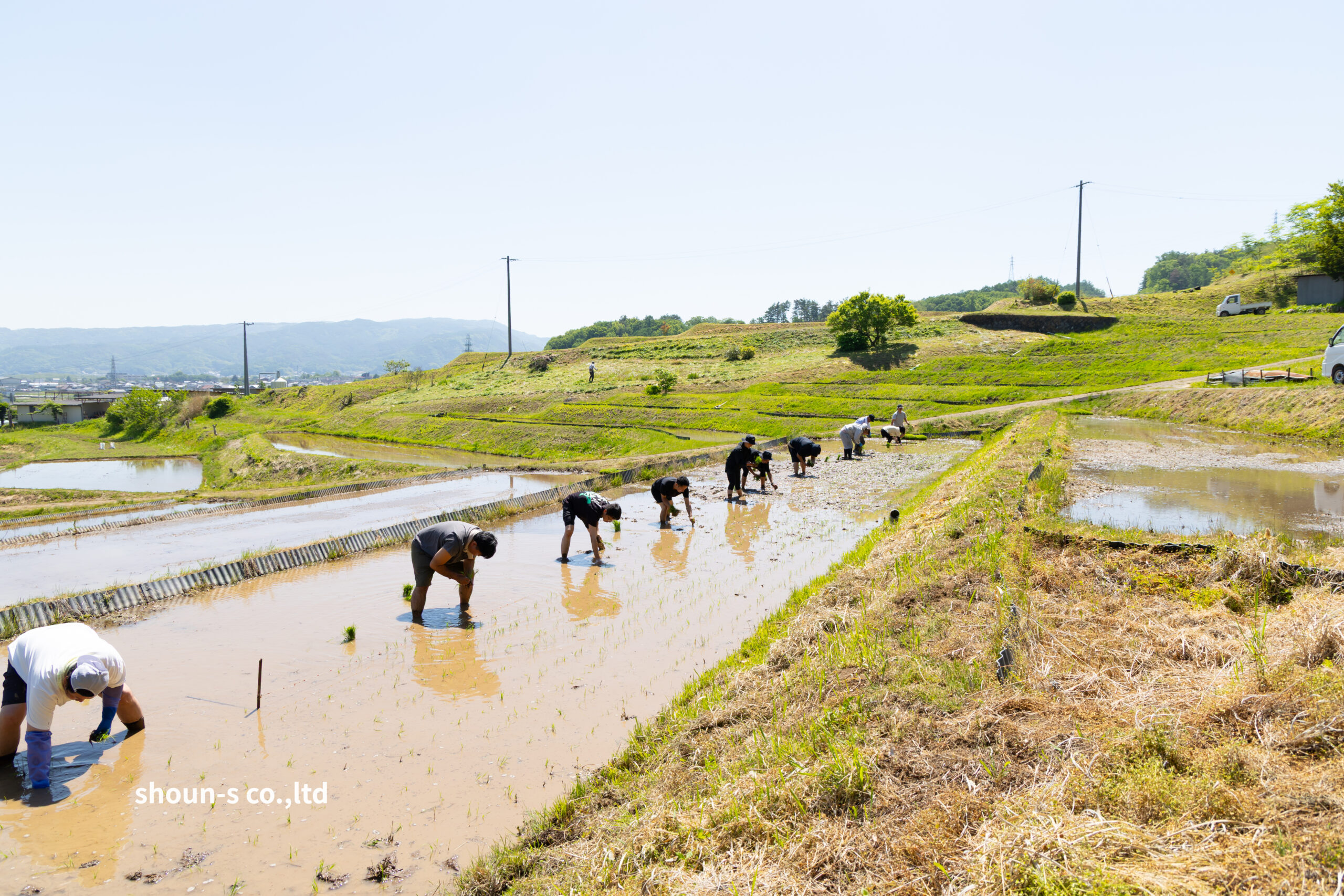 長野県佐久市の広大な田んぼで並んで田植えを行う商運サービス社員の姿
