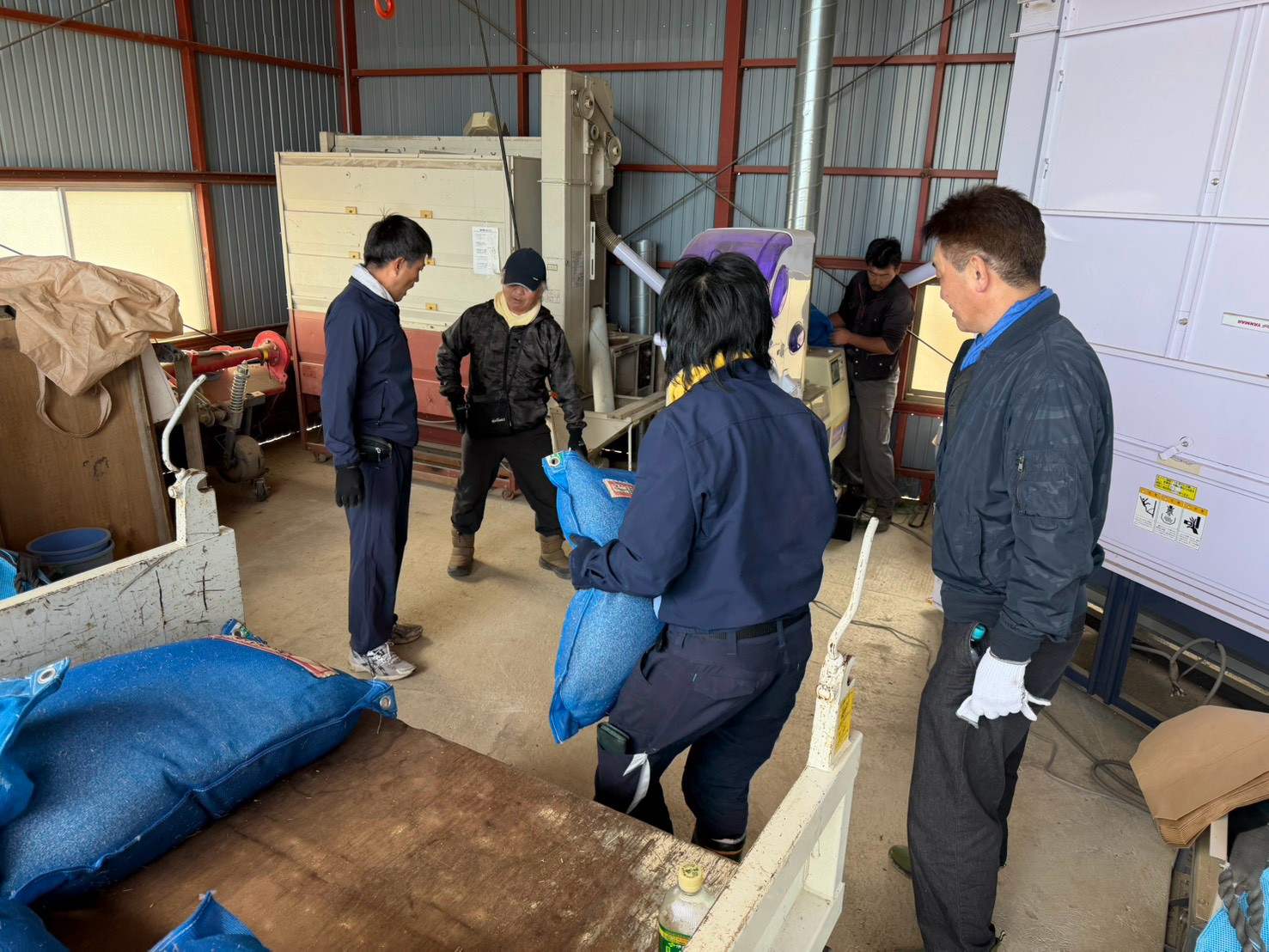 作業小屋でもみすり・玄米の袋詰め作業を行う男性・女性スタッフと積み上げられた新米の青い袋