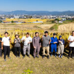 収穫後のお米で握ったふっくら手作りおにぎりを味わう社員